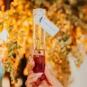 Vitrocaulis Plant Innovation S.L.