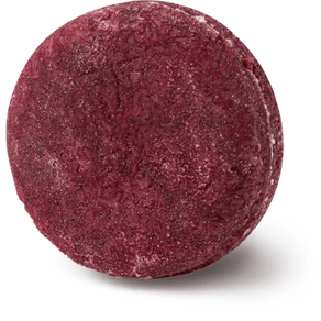 Champú Sólido -Jason and the Argan Oil 55 Gr.