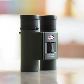 Prismatico Kowa SV II 25-10