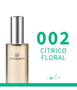 Perfume mujer 002 (100 ml)