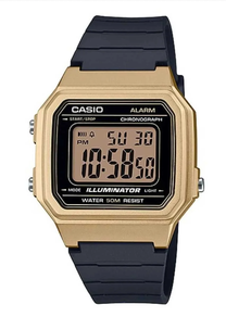 Casio vintage unisex