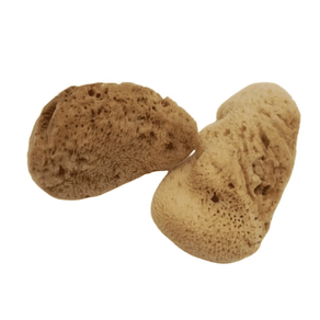 Itsas belaki hilekoa