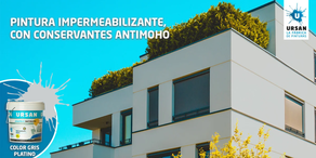 Pintura Exterior  PLASTIKRIL GRIS PLATINO Satinada (750 ml)