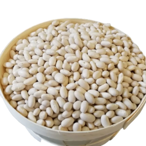 Alubia riñón Guirtzurrun Babarrun alavesa -ECO- (1 Kg)