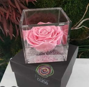 Flowercube Rosa Clara Aromatica 6*6