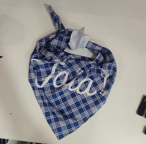 Pañuelo arrantxal de fiestas