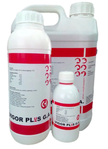VIGOR PLUS 1litro