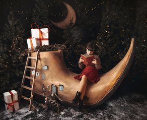 PRE- RESERVA NAVIDAD 2024