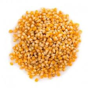 Maíz para palomitas 200 gr