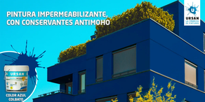 Kanpoko pintura satinatua PLASTIKRIL COLOR AZUL COBALTO (750 ml)