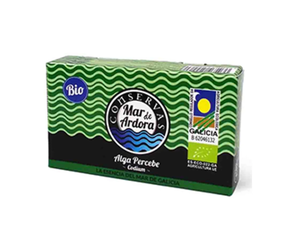 Alga Percebe al natural