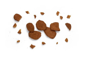 Jengibre con cacao y miel 100 gr