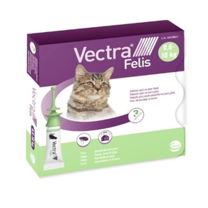 Vectra Felis