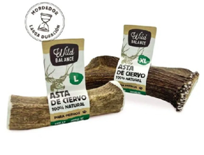 Asta de ciervo entera XL