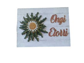 Eguzkilore Ongi Etorri