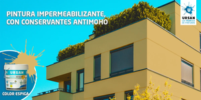 Pintura Exterior Satinada PLASTIKRIL COLOR ESPIGA (4 l)