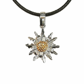 Colgante Eguzkilore plata (925) / 20mm