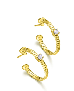 ARO ZILAR XAFLATU ETA ZIRKONITAKO BELARRITAKOAK