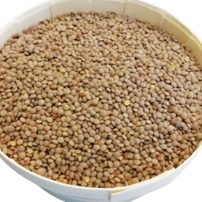 Dilista pardina -ECO- (500 gr)