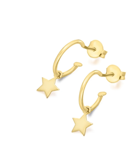 BELARRITAKOAK ARO ZILARREZKO IZAR XAFLATUA