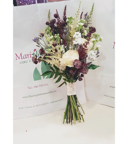 RAMO SILVESTRE NOVIA