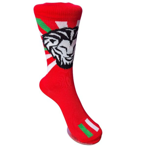 Heldu Galtzerdi Gorria Ikurriña eta Leonekin 35-40 Athletic Club