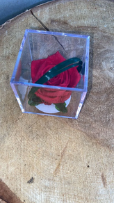 Rosa preservada cristal