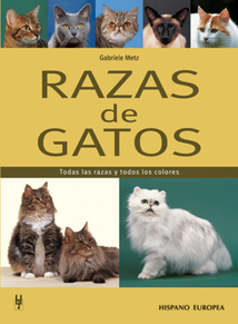 RAZAS DE GATOS