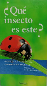 ¿QUÉ INSECTO ES ESTE?