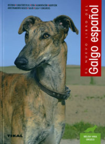 GALGO ESPAÑOL, EL