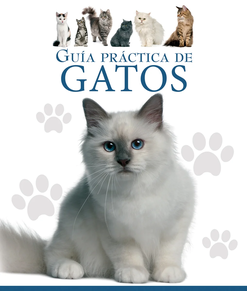 KATUEN GIDA PRAKTIKOA