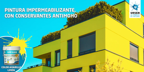 Kanpoko pintura satinatua PLASTIKRIL COLOR AMARILLO LIMON (4 l)