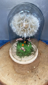 Flor Preservada en Cúpula