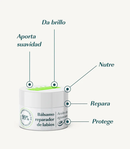 Bálsamo Labial Reparador con Aguacate de GREEN CORNERSS