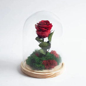 Kristalezko kupulan kontserbatutako arrosa