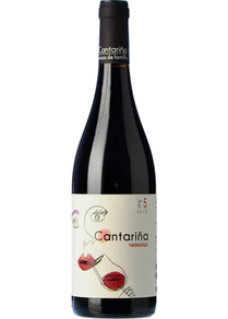 VINO Do Bierzo  / Valdeobispo