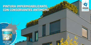 Pintura Exterior PLASTIKRIL GRIS CLARO Satinada (750 ml)