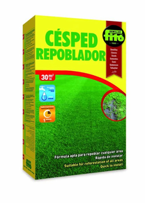 Césped repoblador - Semillas Fito 1KG