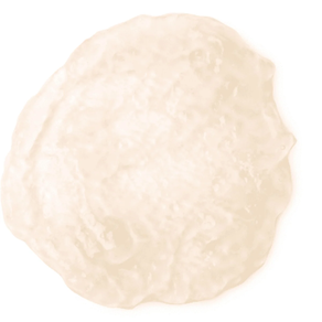 Tratamendu Antigranoak - Grease Lightning 45 Gr.