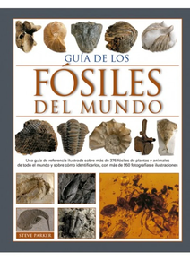 FOSILEN MUNDUKO GIDA