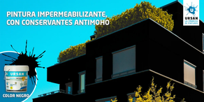 Kanpoko pintura satinatua PLASTIKRIL NEGROA (750 ml)