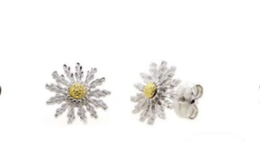 ZILAR ETA URRE EGUZKILOREAK