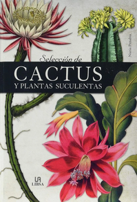 SELECCION DE CACTUS Y PLANTAS SUCULENTAS