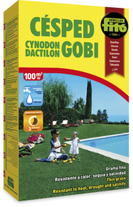 Césped Cynodón Dactylon Gobi - Semillas Fito