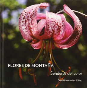 FLORES DE MONTAÑA - SENDEROS DEL COLOR HERNANDEZ ALBIZU, DAVID  Editorial: DAVID HERNANDEZ ALBIZU  EAN: 9788461733224