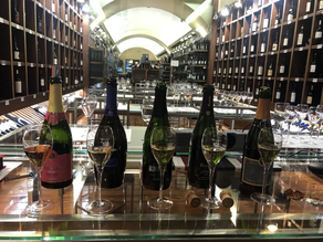 CURSO DE CATA Y DE INICIACIÓN AL VINO.  