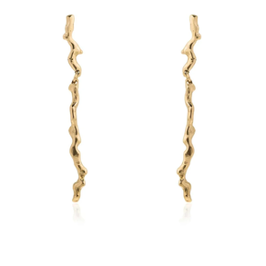 Adar txikietako zilarrezko belarritakoak