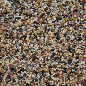 MIXTURA DE SALUD VINCI 200GRS