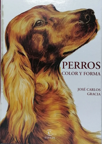 KOLORE ETA ARTE TXAKURRAK