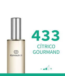 PERFUME MUJER 433 (30 ml)